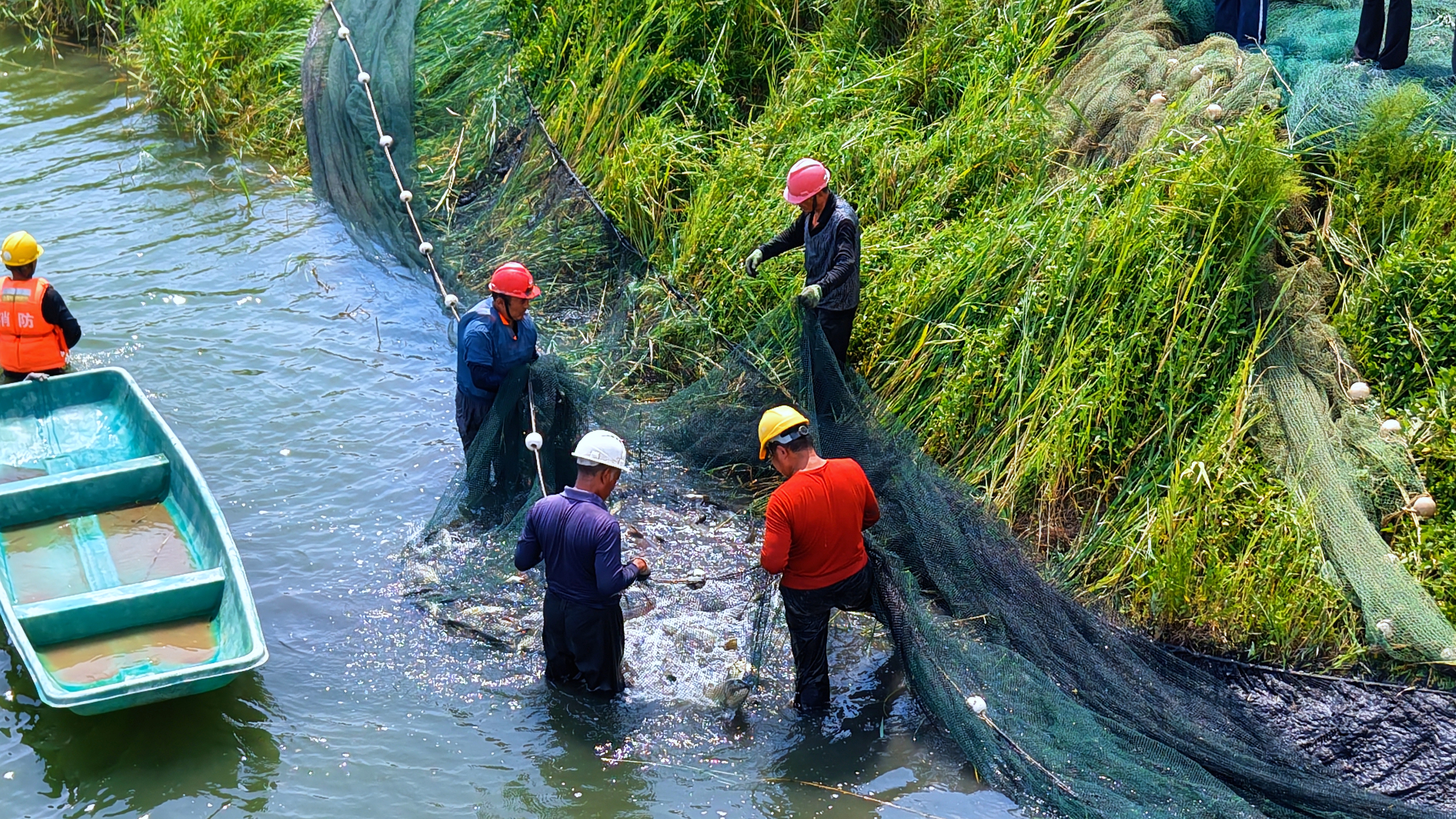 八月(yuè)漁鮮正當食：博華生(shēng)态農(nóng)業(yè)水(shuǐ)産養殖中心喜獲豐收