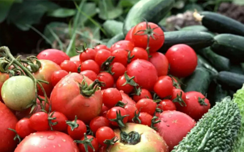 從(cóng)農(nóng)田到(dào)餐桌，健康食材一(yī)站(zhàn)式供應